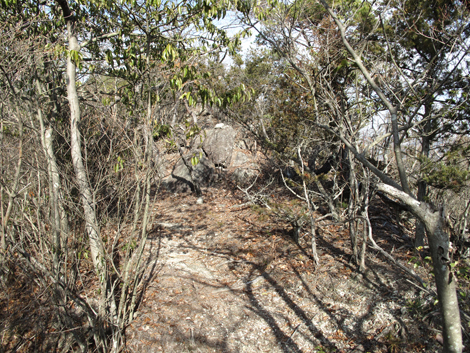 20140103hike (253)